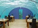 Ithaa Undersea Restaurant on Random Bizarre Restaurants That Really Exist