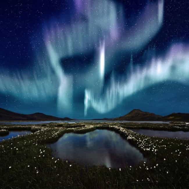 Northern Lights over a Marsh in Iceland