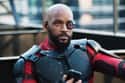 Deadshot on Random Most Important Facts About Every 'Suicide Squad' Charact