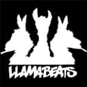 Llamabeats on Random Top Rappers from Miami