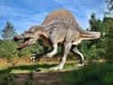 Dinosaurs Were Slow And Lumbering on Random Myths You Were Taught About Dinosaurs
