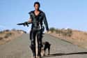 The Dog In 'Mad Max 2' Had Specially Made Earplugs Because He Was Scared Of Cars on Random Things You Didn't Know About 'Mad Max' Movies