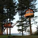 The Cinder Cone Treehouse on Random Coolest Treehouses in the World
