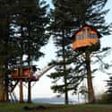 The Cinder Cone Treehouse on Random Coolest Treehouses in the World