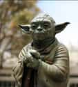 Why Shouldn't You Ask Yoda For Money? on Random Best Star Wars Jokes