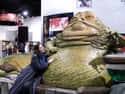 What Is Jabba The Hutt's Middle Name? on Random Best Star Wars Jokes