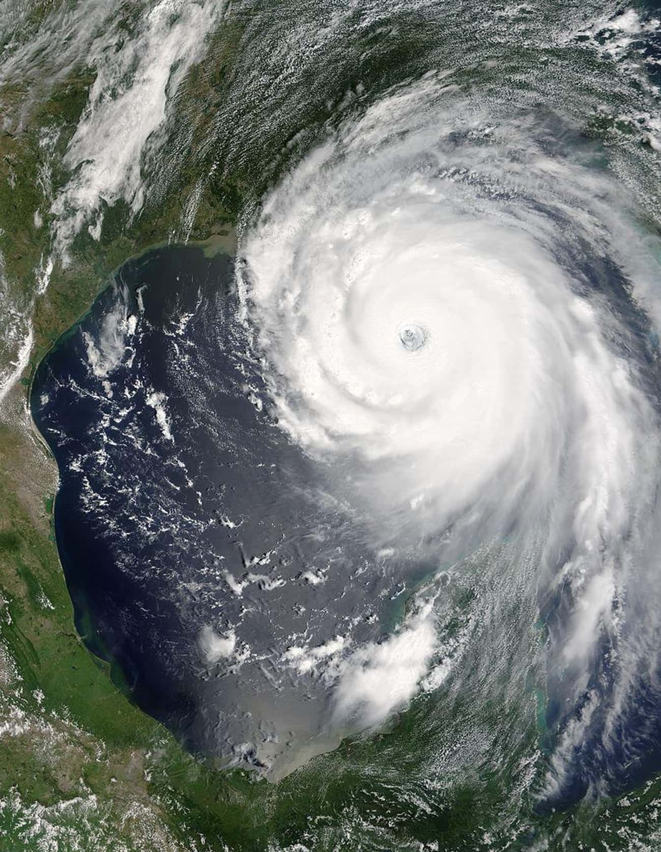 The Response to Hurricane Katrina