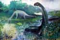 The Brontosaurus Is A Real Dinosaur on Random Myths You Were Taught About Dinosaurs