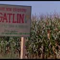 Gatlin, Nebraska on Random Scariest Fictional Places, Towns, and Locations