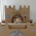Castle Cat Wonders Who Goes There? on Random World's Stealthiest Cats Caught Peeking