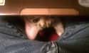 Crotch Cat Doesn't Understand Personal Space on Random World's Stealthiest Cats Caught Peeking