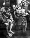 Hepatitis Experiments on Random Horrifying Nazi Experiments  Conducted On Humans