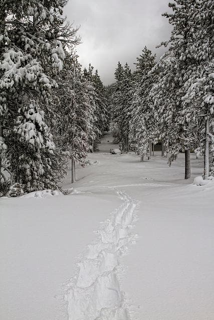 What's A Snowman's Favorite Breakfast?