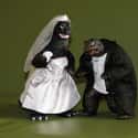 Godzilla and Gamera Finally Settle Down on Random Magnificently Geeky Wedding Cake Toppers