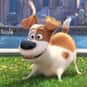 Max is listed (or ranked) 44 on the list The Greatest Dog Characters of All Time