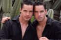 Larry and Gary Lane on Random Sets Of Famous Twins Who Are Both Gay
