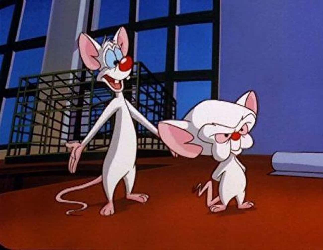 In 'Pinky and the Brain,' Pinky Is Actually The Genius