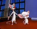 In 'Pinky and the Brain,' Pinky Is Actually The Genius on Random Mind-Blowing Fan Theories About '90s Cartoons