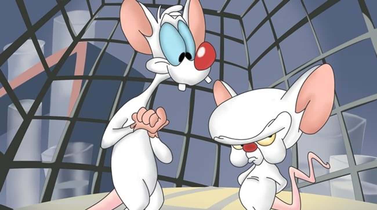 In Pinky and the Brain, Pinky Is Actually the Genius