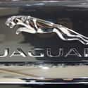 Jaguar on Random Best Car Logos Ever Designed