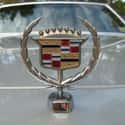 Cadillac (Ducky Emblem) on Random Best Car Logos Ever Designed
