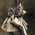 Early LOL Cat Pioneer, C. 1905 on Random Adorable Pictures of Cats Throughout History
