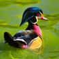 At What Time Does A Duck Wake ... is listed (or ranked) 1 on the list The Best Duck Jokes