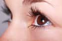 Perfect Eyelashes are Just a Transplant Away on Random Most Bizarre Plastic Surgery Procedures