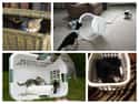Laundry Hampers on Random Things Cats Prefer Over Your Fancy Gifts