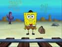 Spongebuck Squarepants on Random Best SpongeBob SquarePants Characters
