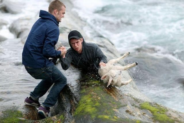 Heartwarming Photos | Pictures That'll Restore Your Faith In Humanity