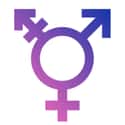 Transgender Issues on Random Social Issues You Care About Most