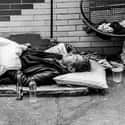 Over 500,000 people in the United States are homeless.
