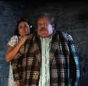 Why Are the Dursleys So Rotten to Harry? on Random Huge Things Everybody Learned About Harry Potter AFTER The Books