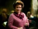 Dolores Umbridge Is Based on a Real Person on Random Huge Things Everybody Learned About Harry Potter AFTER The Books