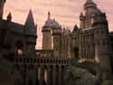 Hogwarts 19 Years Later on Random Huge Things Everybody Learned About Harry Potter AFTER The Books