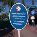 Leave Your Selfie Stick at Home on Random Most Helpful Disneyland Tips & Tricks