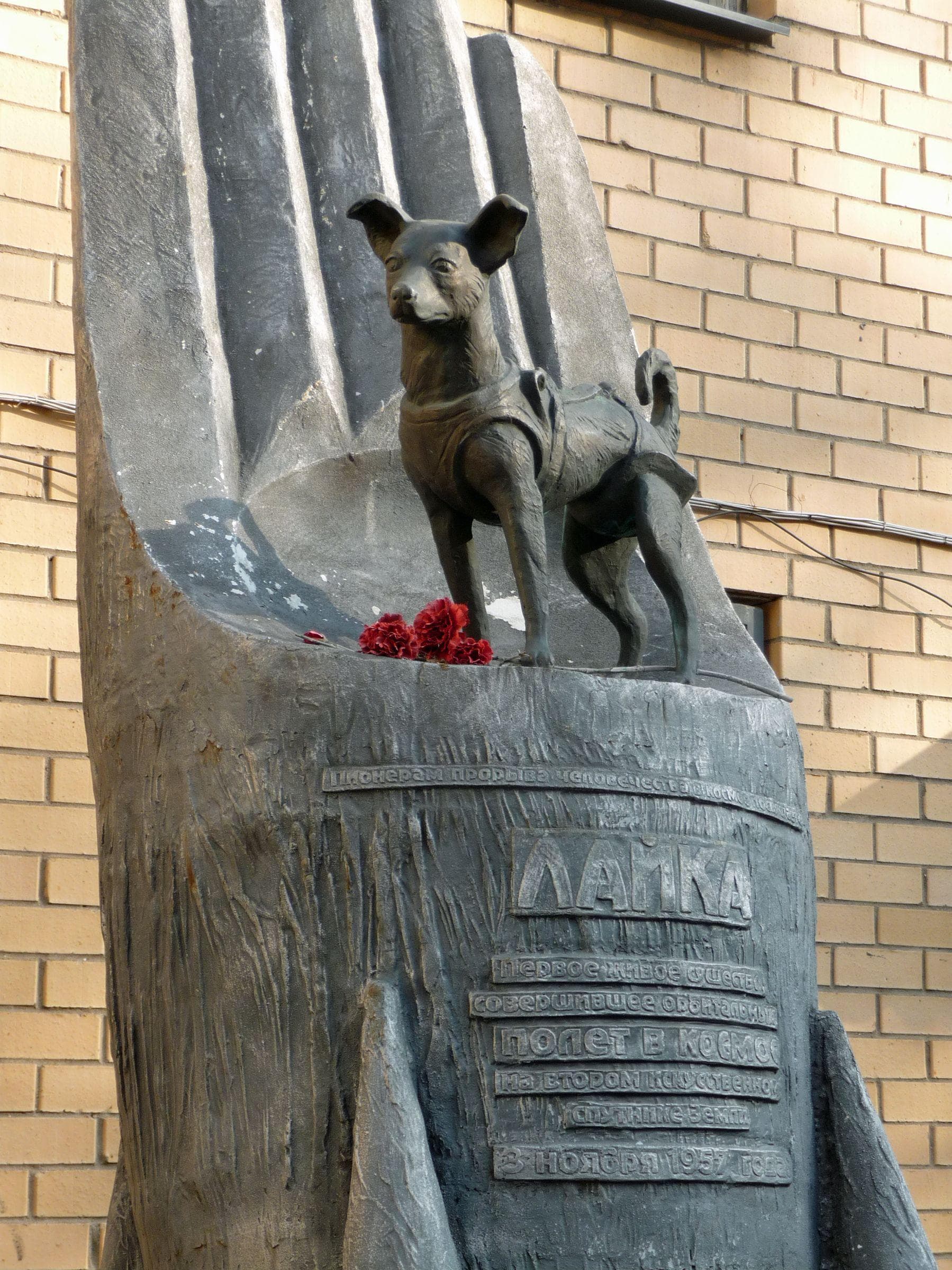 Памятник лайке в москве