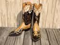 Lee Miller on Random Best Cowboy Boots
