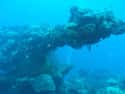 See the World's Largest Ship Graveyard at Chuuk Lagoon on Random Most Incredible Underwater Travel Sights
