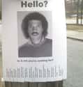 Is It Me You're Looking for? on Random Funniest Missing Posters
