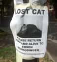 Until We Find Him, He's Both Alive and Dead on Random Funniest Missing Posters