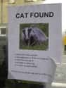 Confusion on Random Funniest Missing Posters
