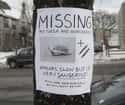Check Sewers And Pizza Joints on Random Funniest Missing Posters