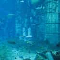 Atlantis as Re-Created in Dubai on Random Most Incredible Underwater Travel Sights