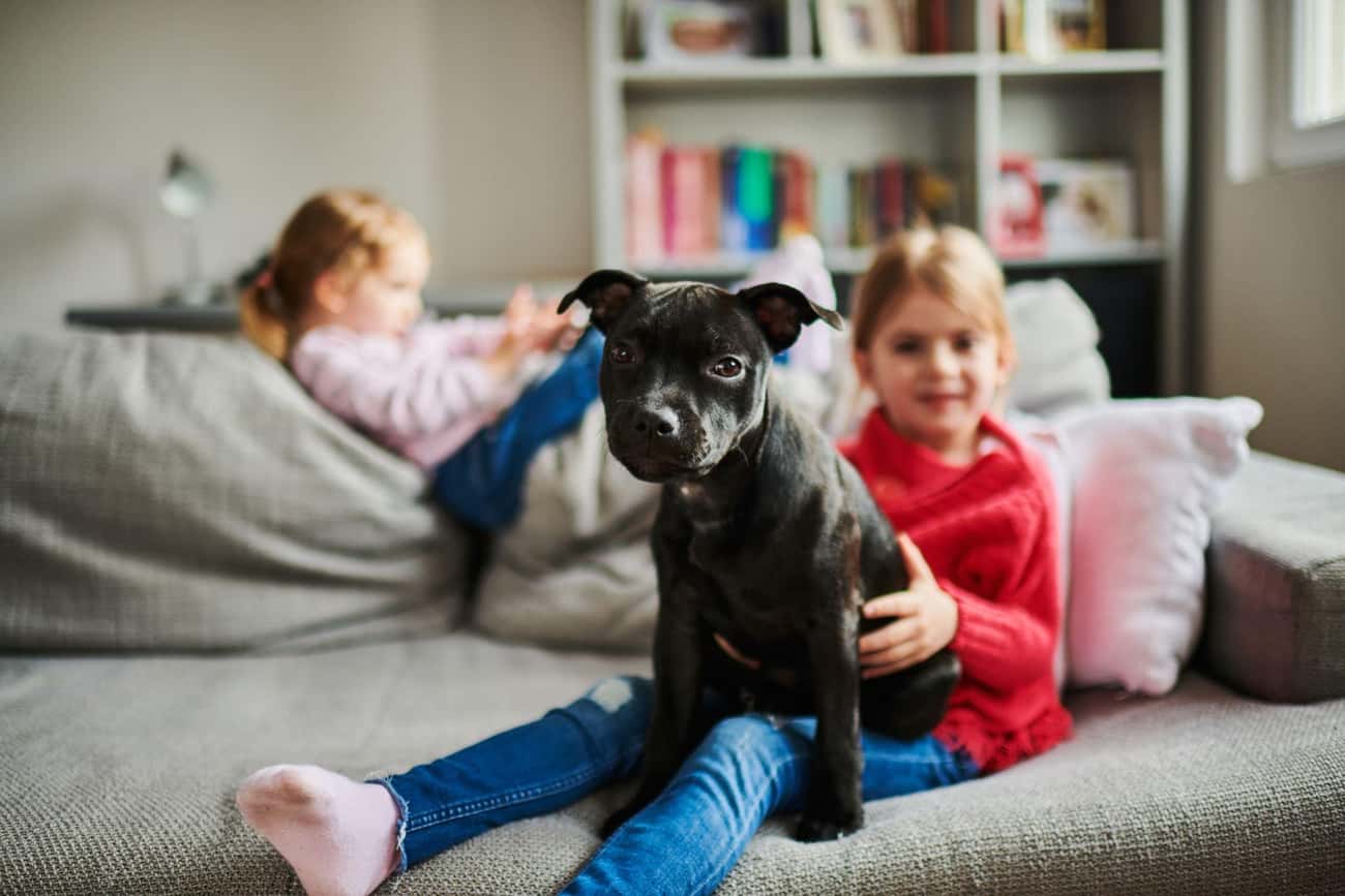 Before Being Stereotyped, Pit Bulls Were Nanny Dogs