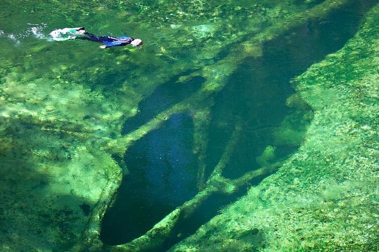 Blue Springs Vent di Florida 