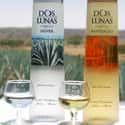 Dos Lunas Tequila on Random Best Top-Shelf Tequila Brands