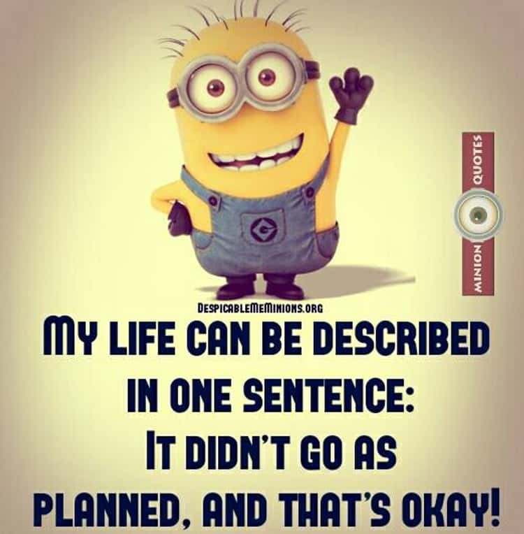 despicable me funny sayings