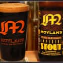 Moylan’s Dragoons on Random Best Stout Beer Brands You Have to Try